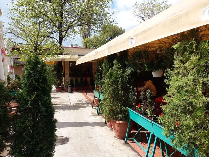 Ospatar si ajutor ospatar.